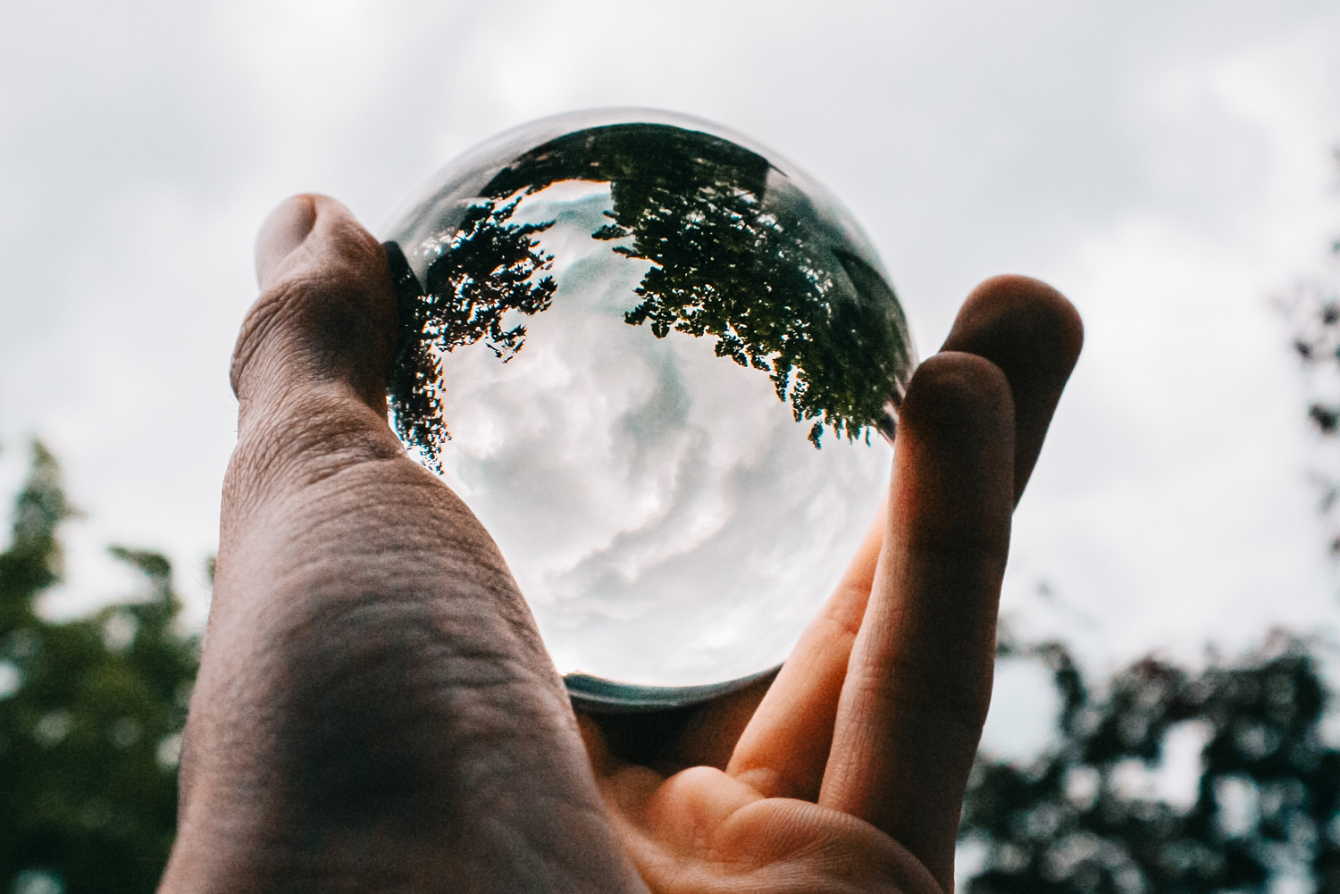 Accountability and Transparency