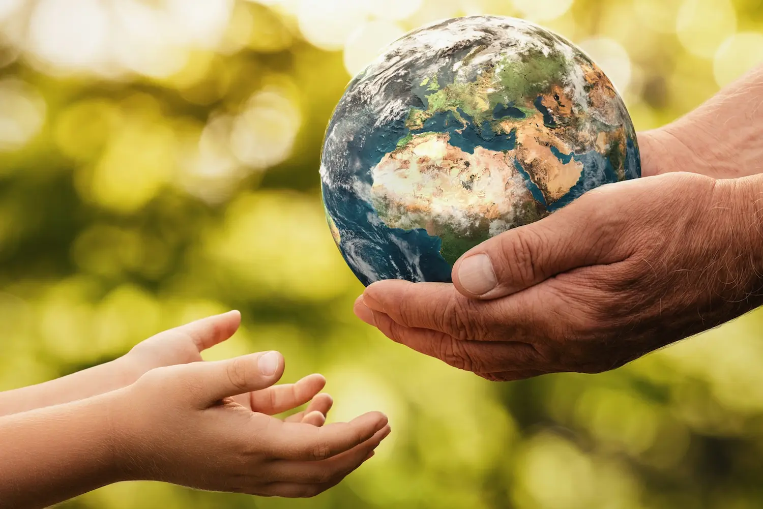 Environmental Responsibility