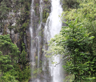 Maui Water